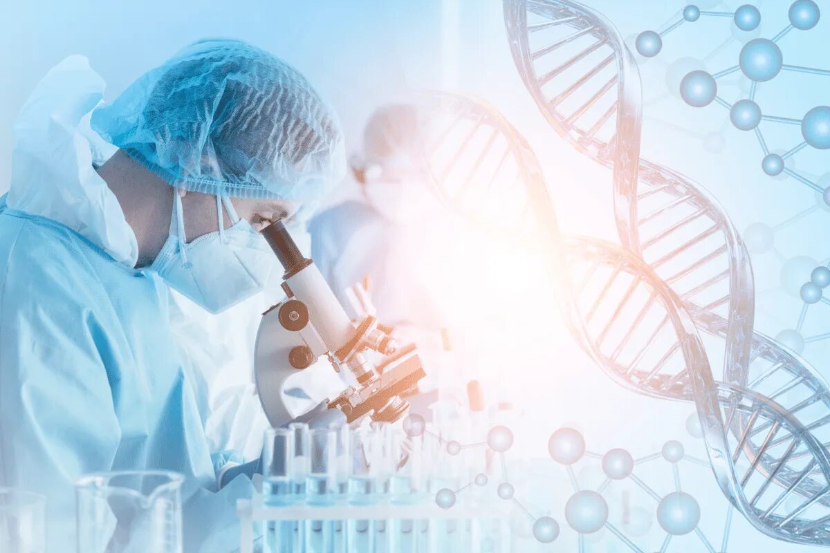 En forskare studerar det mänskliga genomet.