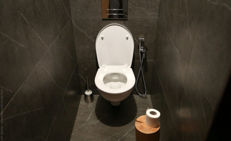 Kasta aldrig detta i toaletten. Det kommer garanterat att orsaka ett avloppshaveri.