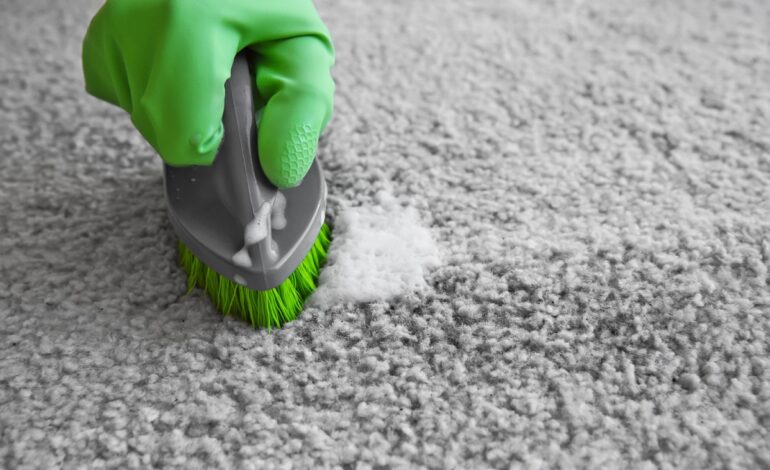 Rengör mattor med en borste