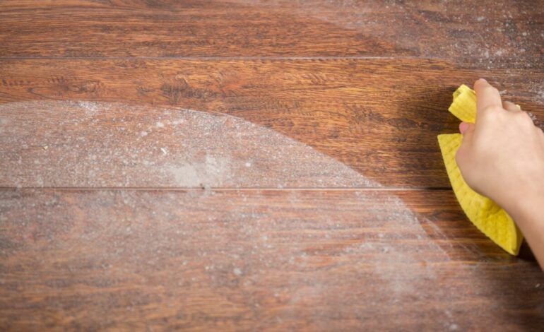 torkar av paneler med en trasa