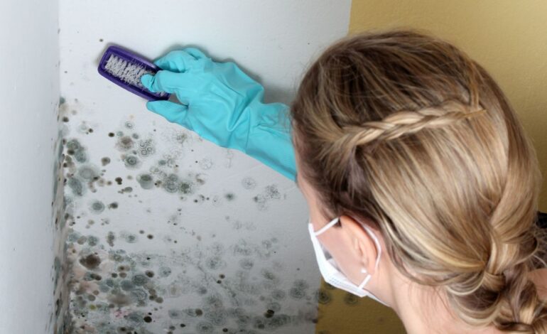 Ta bort mögel med hushållskemikalier