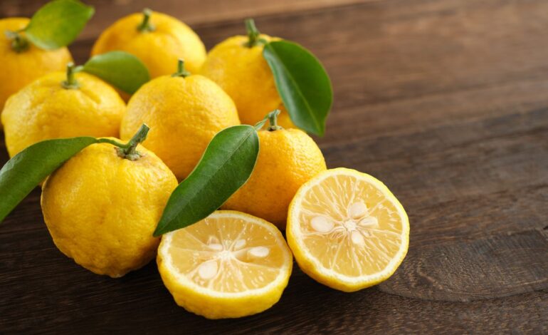 Den ser ut som en citron, men verkar på huden som en laser. Japanska kvinnor äter den regelbundet
